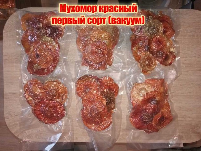 Действие мухомора на человека